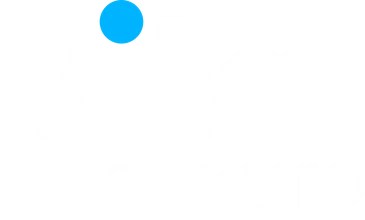 Vital Seguro